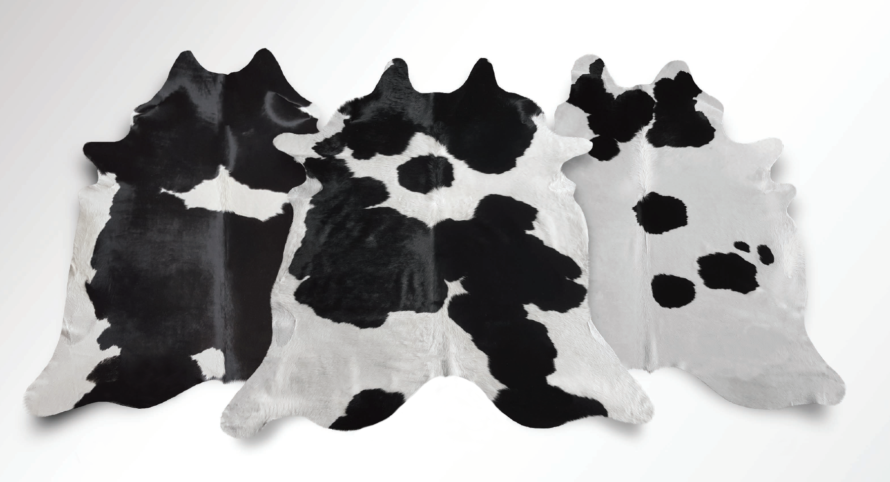 Black and white cowhide variants