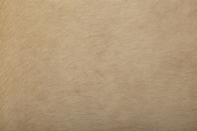 Large solid light palomino cowhide rug close up
