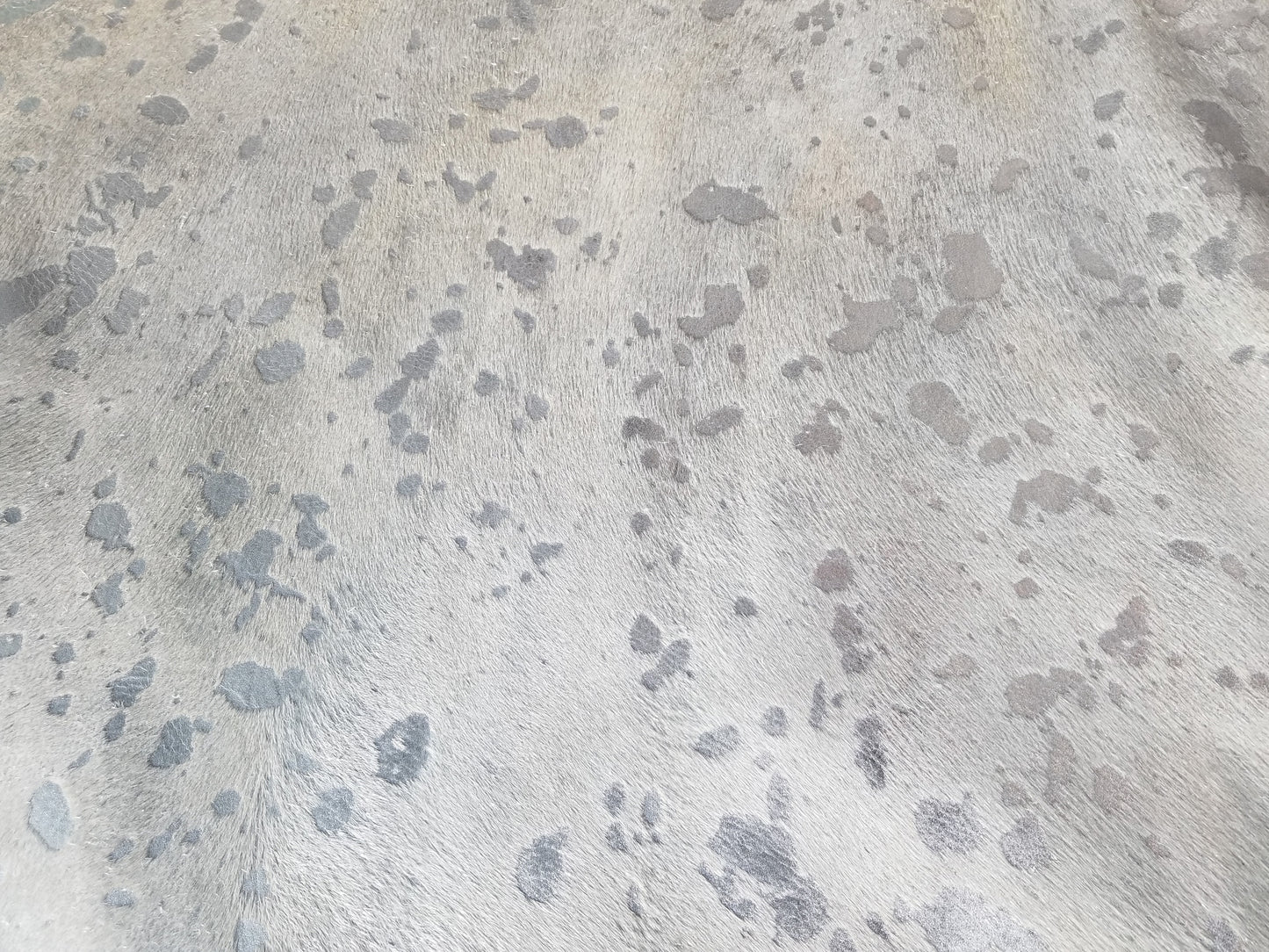 Metallic Silver on White Closeup image