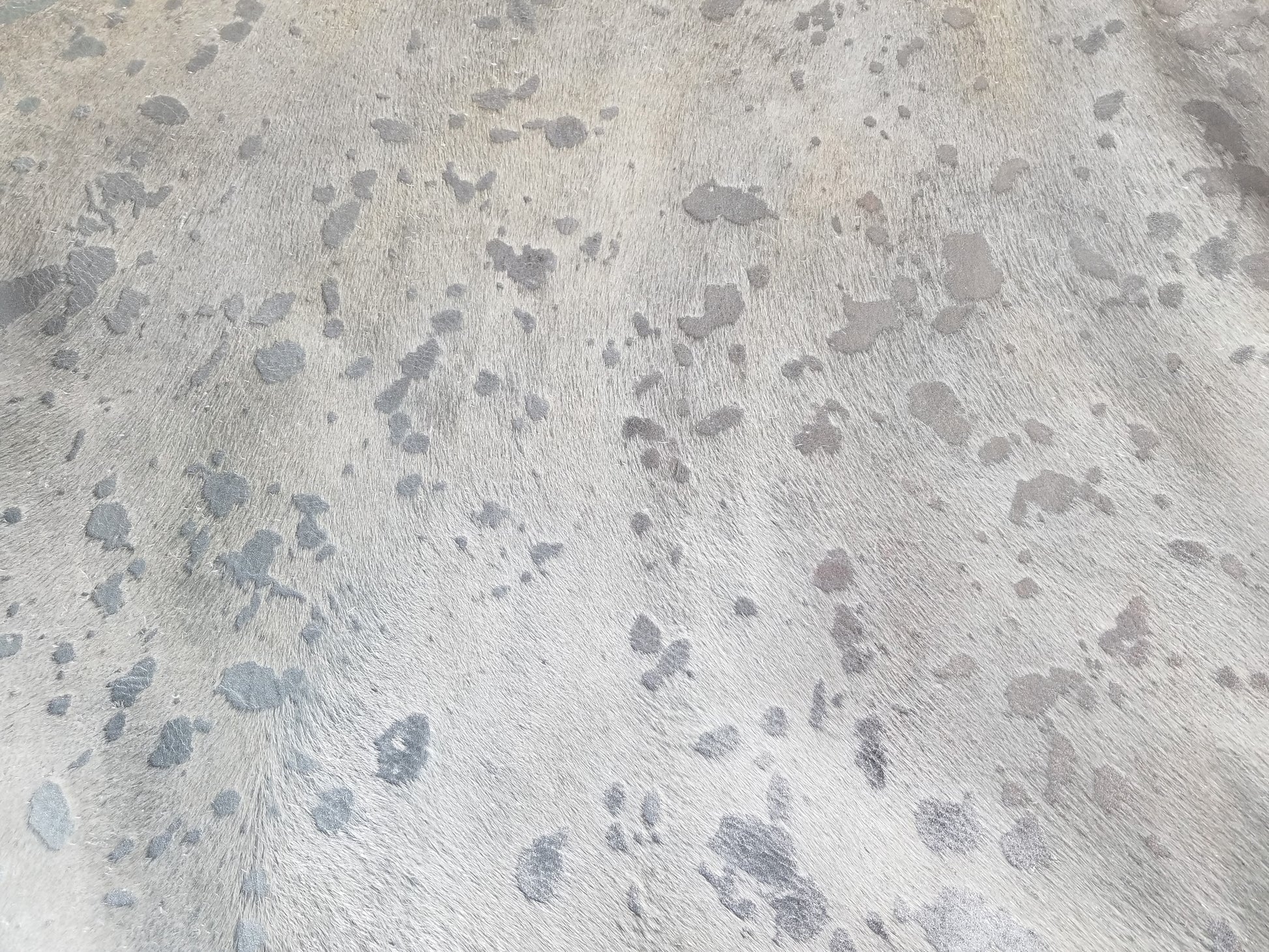 Metallic Silver on White Closeup image
