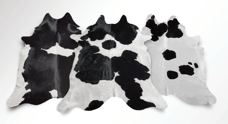 Black and white cowhide variants